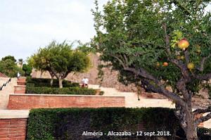 10 ALMERIA ALCAZABA 12 09 2018 (66)